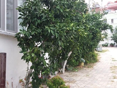 Erdek Ocaklar Mh Satilik Daire Fiyatlari Ilanlari Hurriyet Emlak