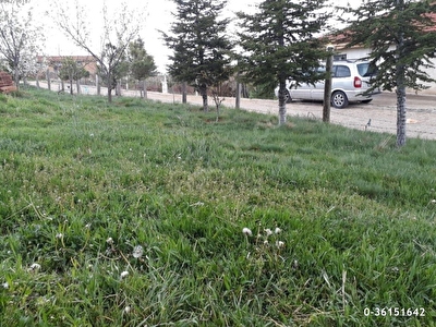Ihsaniye Satilik Arsa Tarla Bahce Fiyatlari Ilanlari Hurriyet Emlak