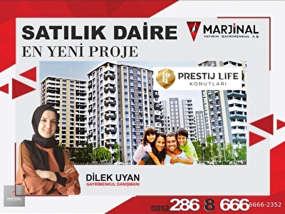 marjinal gayrimenkul a s