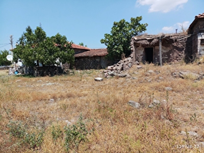 Yunusemre Camlica Mh Satilik Arsa Tarla Bahce Fiyatlari Ilanlari Hurriyet Emlak