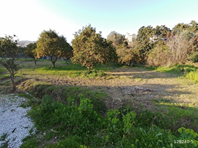 Antalya Satilik Bahce Fiyatlari Ilanlari Hurriyet Emlak