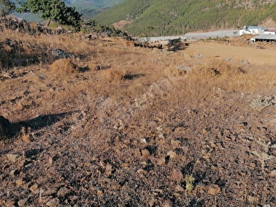 bozyazi belde satilik arsa tarla