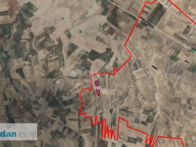 tum cihanbeyli ilanlari fiyatlari