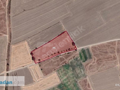 dinar arsa tarla bahce fiyatlari