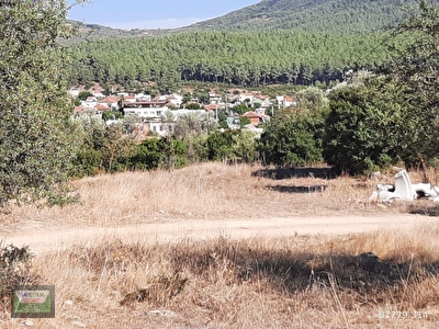 Seferihisar Satilik Arsa Tarla Bahce Fiyatlari Ilanlari Hurriyet Emlak