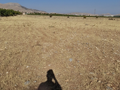 Firinci Mh Satilik Tarla Fiyatlari Ilanlari Hurriyet Emlak