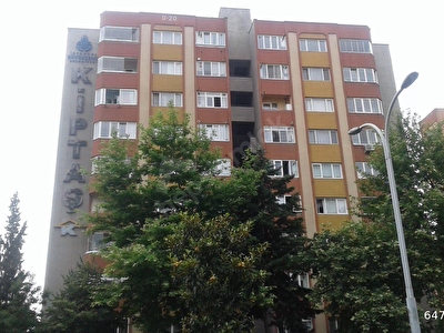 Basaksehir Basaksehir Satilik Daire Fiyatlari Ilanlari Hurriyet Emlak