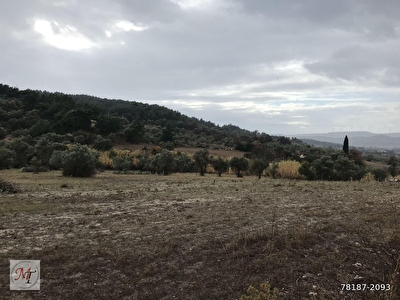 Izmir Satilik Arsa Tarla Bahce Fiyatlari Ilanlari Hurriyet Emlak