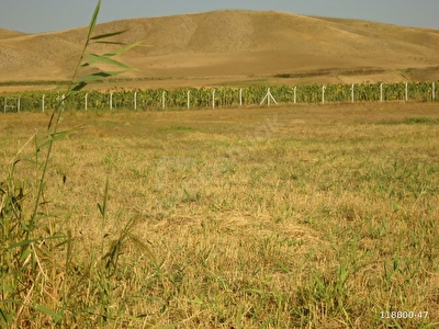 Kırıkkale Satılık Bahçe