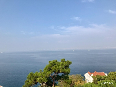 burgazada satilik ev