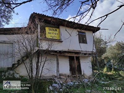 vercel