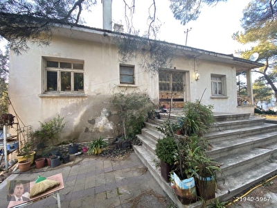 korfez emlak turkiye ayvalik