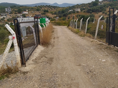 Kemalpasa Armutlu Satilik Arsa Tarla Bahce Fiyatlari Ilanlari Hurriyet Emlak