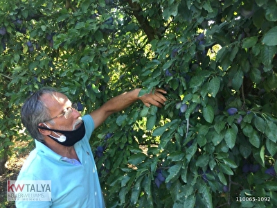 Sultandagi Arsa Tarla Bahce Fiyatlari Ilanlari Hurriyet Emlak