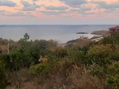Beykoz Satilik Arsa Tarla Bahce Fiyatlari Ilanlari Hurriyet Emlak