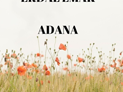 0 pesinatsiz araba sahibinden