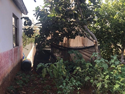 Camkoy Mh Satilik Arsa Tarla Bahce Fiyatlari Ilanlari Hurriyet Emlak