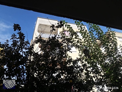 Wpg3tzzjuhu4rm