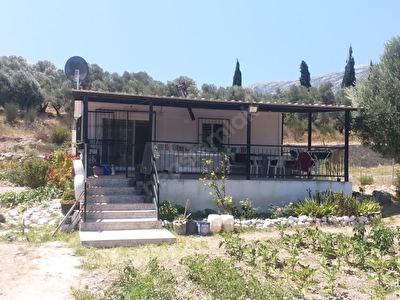 Karaburun Satilik Arsa Tarla Bahce Fiyatlari Ilanlari Hurriyet Emlak