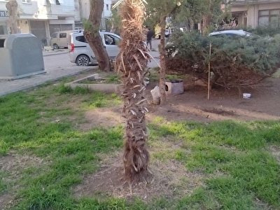 Bayrakli Ozkanlar Satilik Daire Fiyatlari Ilanlari Hurriyet Emlak