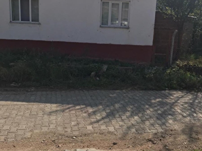 Mustafakemalpasa Diger Konut Ev Fiyatlari Hurriyet Emlak