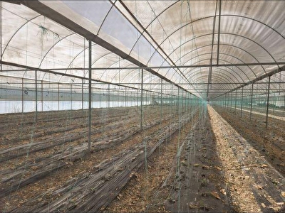 Gölhisar Yusufça (Aşağı)