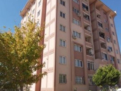 Tire Kiralik Konut Ev Fiyatlari Hurriyet Emlak