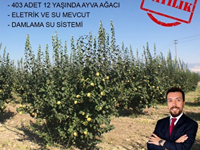 hurriyet emlak