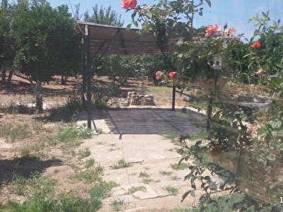 Sz70zleawlkpkm