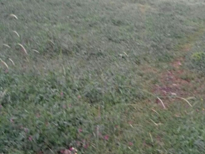 Keles Satilik Arsa Tarla Bahce Fiyatlari Ilanlari Hurriyet Emlak