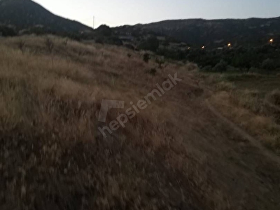 Izmir Sahibinden Satilik Tarla Fiyatlari Ilanlari Hurriyet Emlak