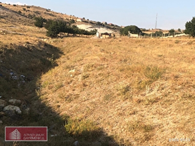 Ayas Basayas Mh Satilik Arsa Tarla Bahce Fiyatlari Ilanlari Hurriyet Emlak