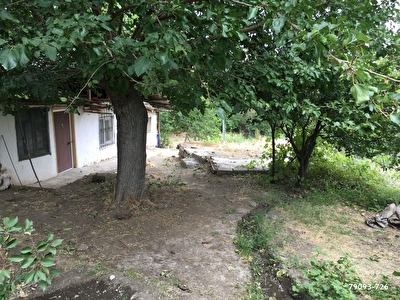 Akcakiraz Yesilkusak Mh Satilik Tarla Fiyatlari Ilanlari Hurriyet Emlak