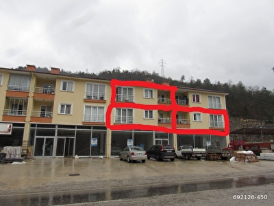 hotelzodiacobolsena site