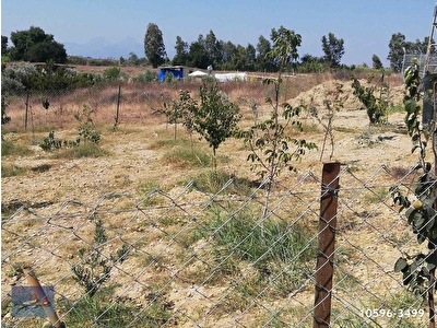 Serik Satilik Arsa Tarla Bahce Fiyatlari Ilanlari Hurriyet Emlak