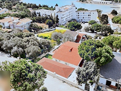 Çeşme Ardıç