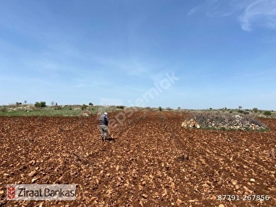 https www hurriyetemlak com omerli satilik arsa