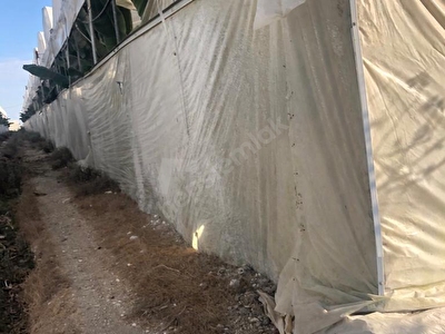 Tarsus Satilik Bahce Fiyatlari Ilanlari Hurriyet Emlak