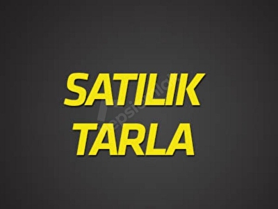 tekirdag saray satilik tarla fiyatlari