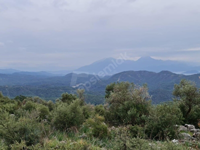 Fethiye Satilik Arsa Tarla Bahce Fiyatlari Ilanlari Hurriyet Emlak