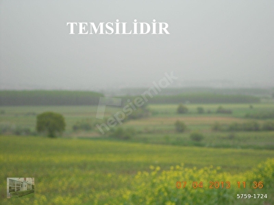 Buyukbalikli Mh Satilik Arsa Tarla Bahce Fiyatlari Ilanlari Hurriyet Emlak