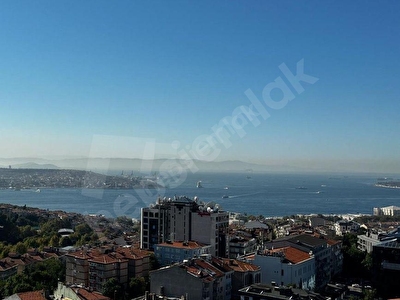 Beşiktaş Dikilitaş