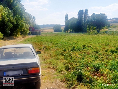 Bursa Satilik Arsa Tarla Bahce Fiyatlari Ilanlari Hurriyet Emlak
