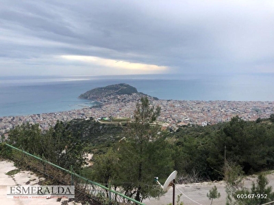 Tum Alanya Bektas Mh Ilanlari Fiyatlari Hurriyet Emlak