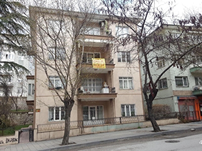 alber emlak