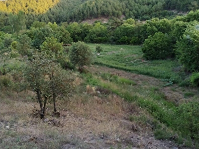 kinik buyukoba mh satilik arsa tarla bahce fiyatlari ilanlari hurriyet emlak