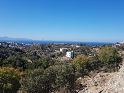 Bodrum Koyunbaba Mh Satilik Arsa Tarla Bahce Fiyatlari Ilanlari Hurriyet Emlak