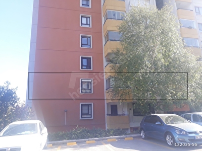 hotelzodiacobolsena site