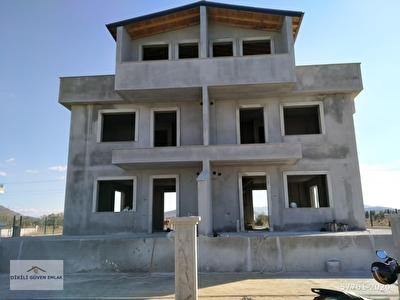 prepona info