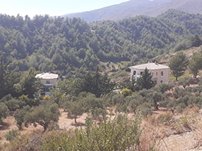 Gulderen Mh Satilik Arsa Tarla Bahce Fiyatlari Ilanlari Hurriyet Emlak